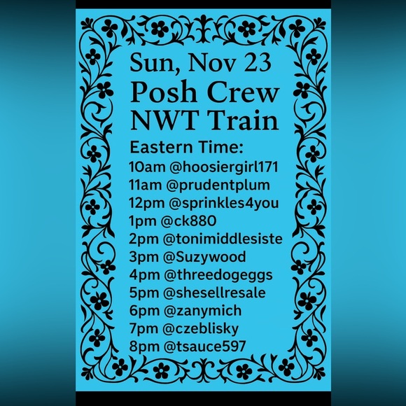 @suzywood777 ❇️LIVE NOW❇️NWT POSH CREW TRAIN🎉 - Picture 3 of 6